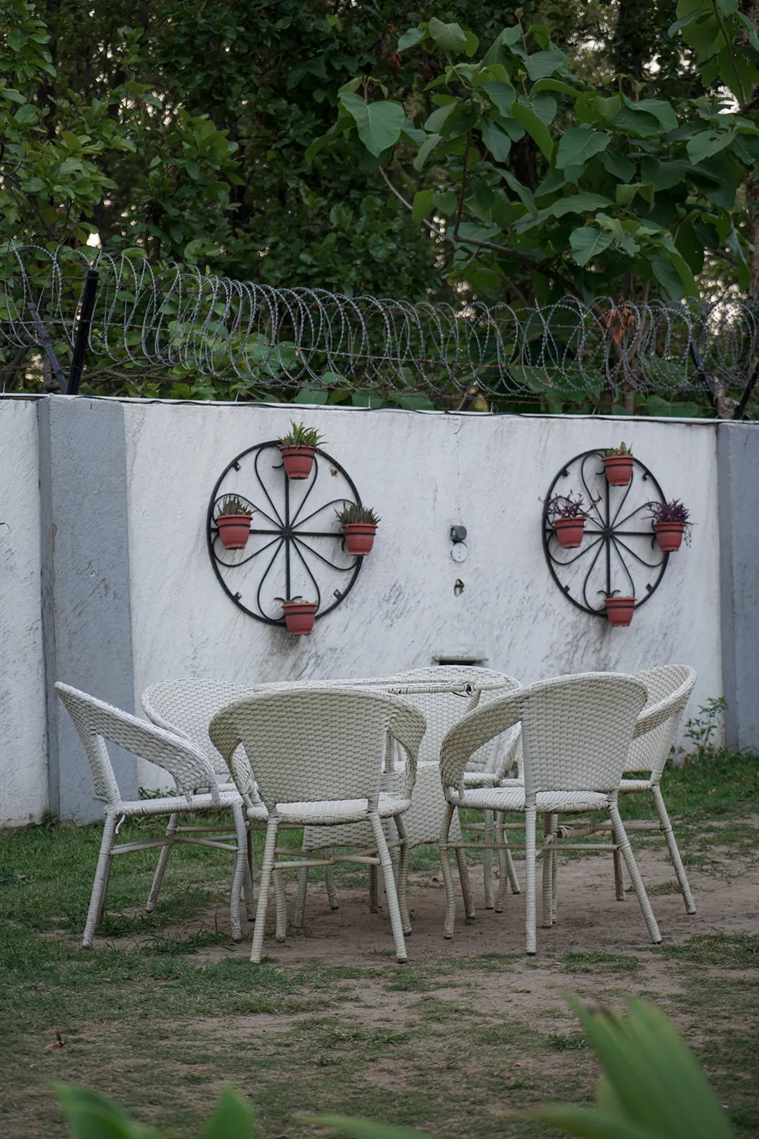 Shaded outdoor seating area surrounded by pine forest in Dehradun